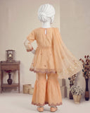 Kids Peach Embroidered Gharara Suit - view 3