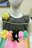 Multicolor Rainbow Net Frock with Shimmer Bodice