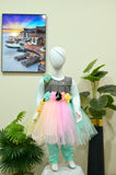 Multicolor Rainbow Net Frock with Shimmer Bodice